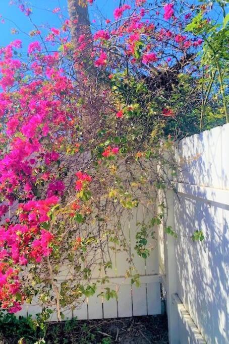 Bright And Beachy 2Bed 1Bath Home - Unit 210 Cocoa Beach Eksteriør billede